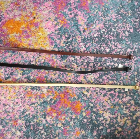 Trio of Skinny Belts - Picture 2 of 3